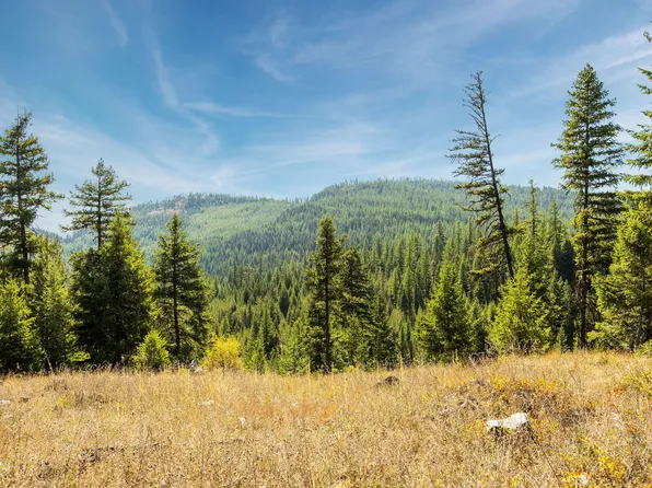 Nhn Whitney Lake Road Section #15, Libby, MT 59923