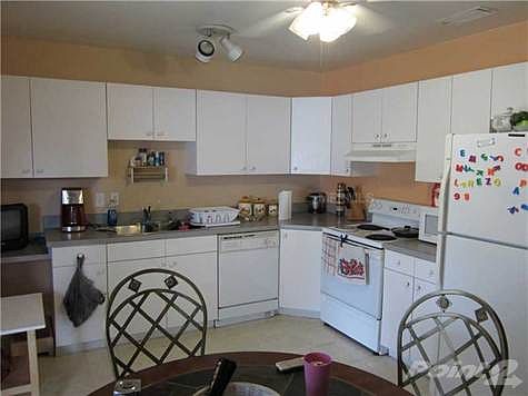 5th image of 4522 Dreisler St