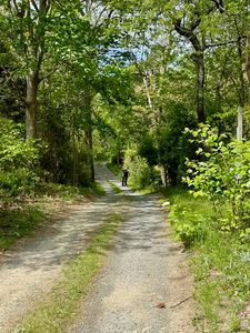 31 Monument Road, Orleans, MA, 02653