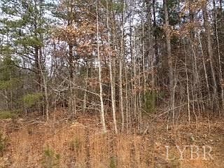 4th image of LOT Nine Cow Creek Dr