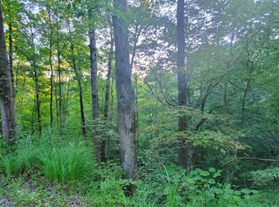 Dillon Ln, Caryville, TN 37714