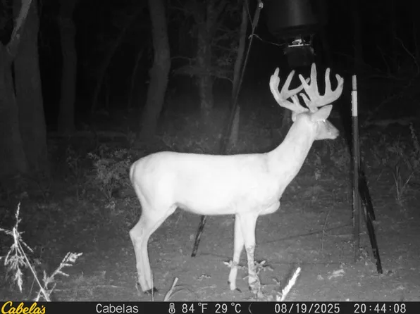 N 372nd Rd, Allen, OK 74825