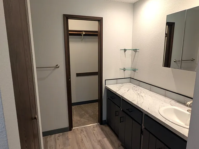 Downstairs bathroom primary sink/vanity.