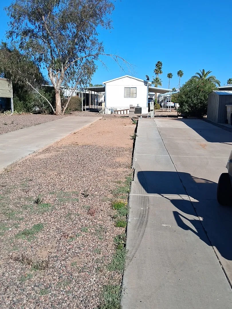 Studio, 980 sqft, $982 — Photo 3