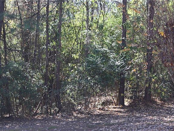 5th image of 4117 Sandy Lake Dr Lot 1