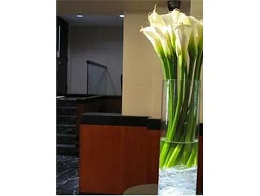 Sold by Douglas Elliman | media 9