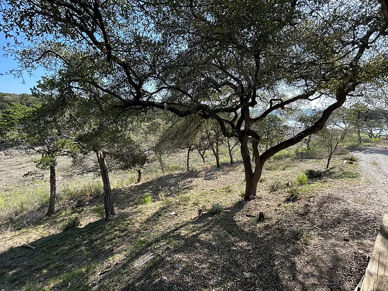 Turkey Tree Rd — Photo 2