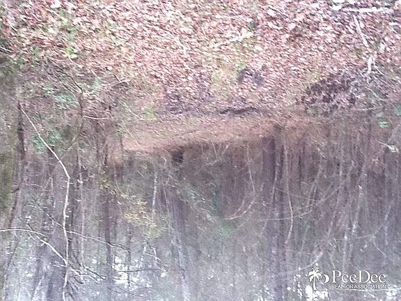 4th image of 325 Kearson Dr