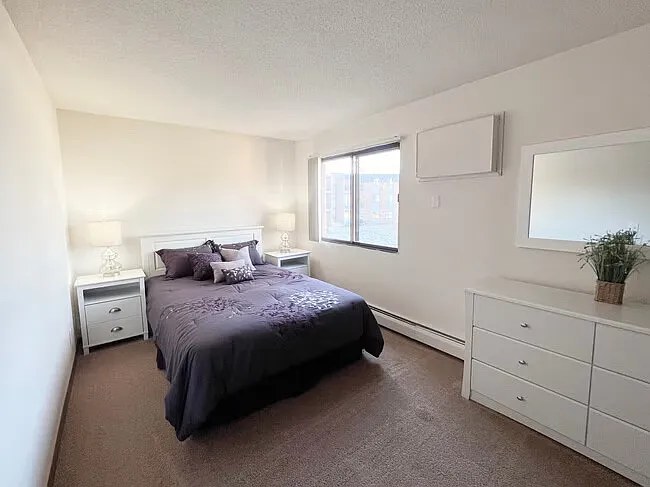 Model Unit