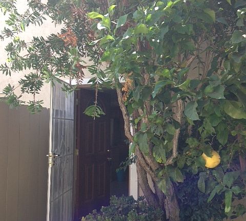 2nd image of 8030 Camino Huerta