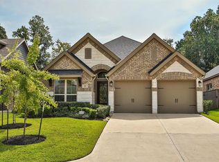 142 Kinnerly Peak Pl, Montgomery, TX 77316