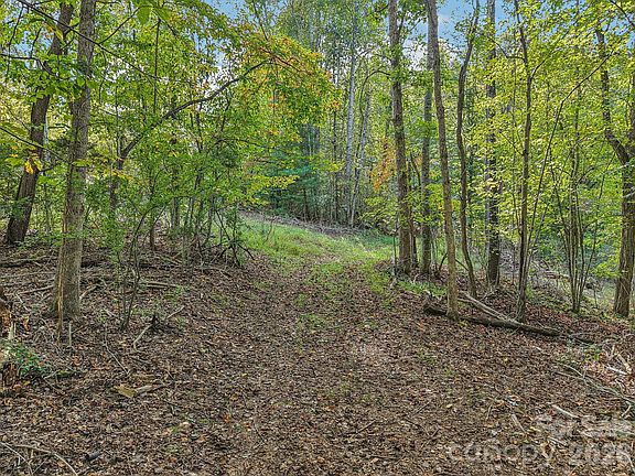 4th image of Upper Glady Fork Rd