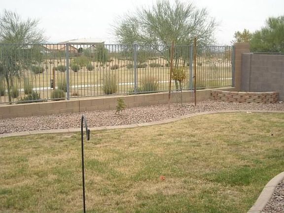 Back yard