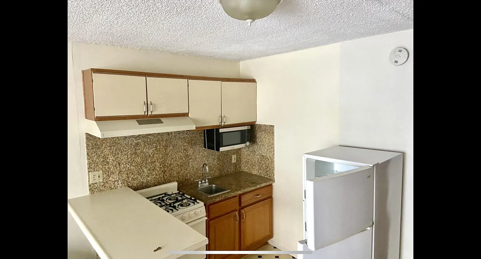 Studio, 350 sqft, $1,650 — Photo 3