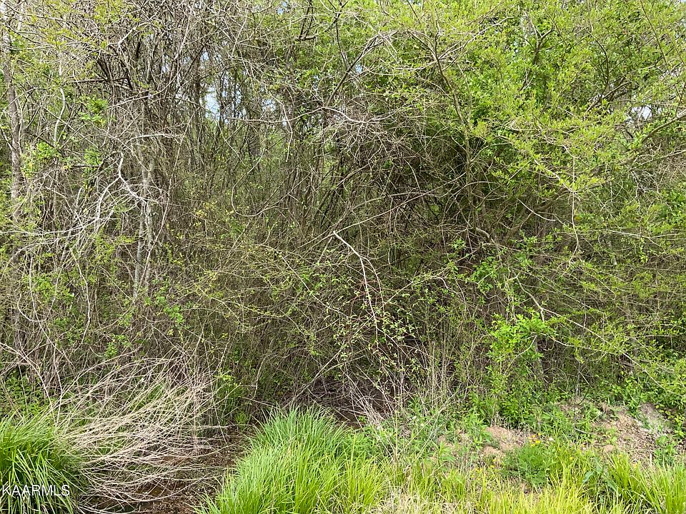 2nd image of Roddy Ln