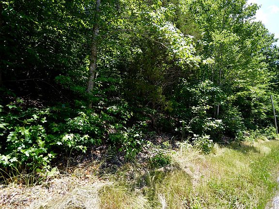 3rd image of 0 Camelot Dr Lot 5