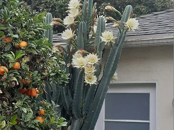 2219 Glendon Ave #G, Los Angeles, CA 90064