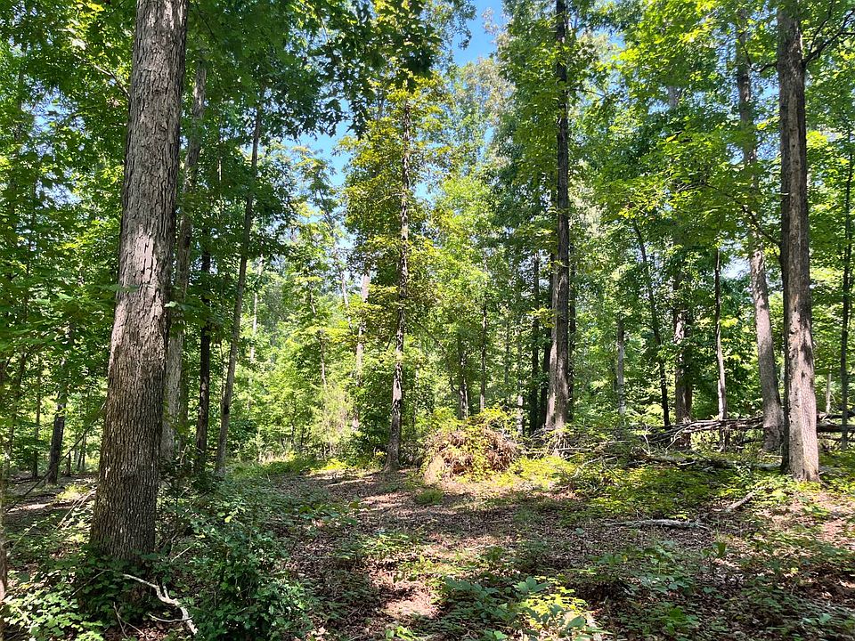1st image of Turkey Creek Rd