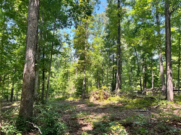 Turkey Creek Rd, Ware Shoals, SC 29692