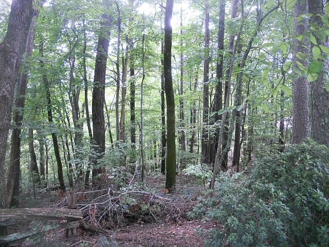 2nd image of 0 Payne Hill Rd #14