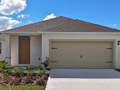 198 BULL FROG LANE, Umatilla, FL, 32784
