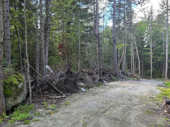 M10 L41 Taylor Circle, Washington, NH 03280