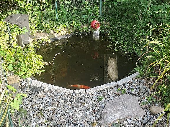 5th image of 202 Lakewood Rd