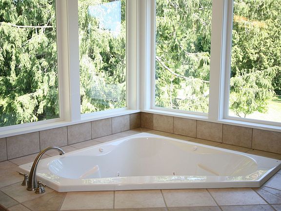 Master Bath Tub