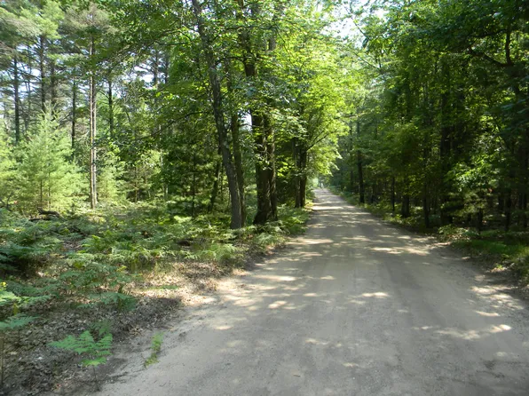 N 56th Ave Parcel A, Pentwater, MI 49449