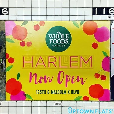 Rented by Uptown Flats LLC | media 24