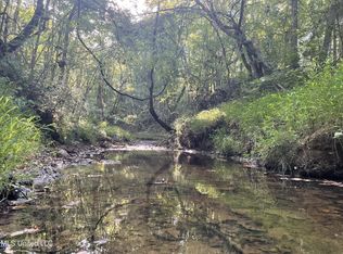 1 Middle Rd, Edwards, MS 39066