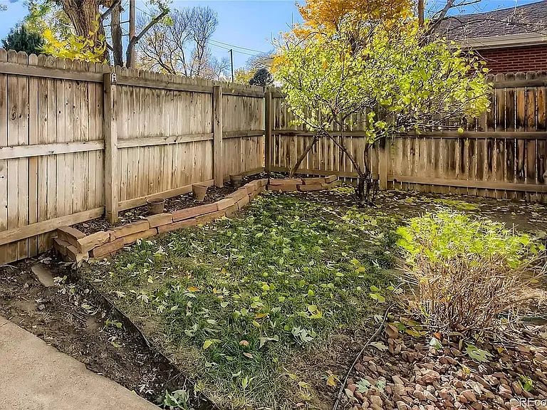 Backyard off the living room