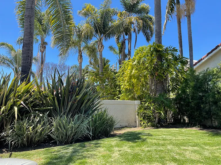 7110 Caminito Zabala — Photo 21