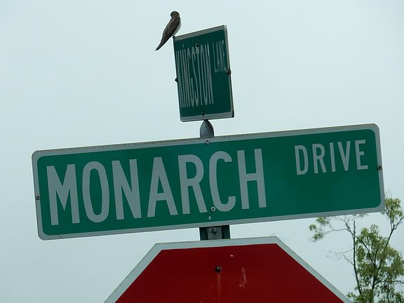 4th image of 4091 Monarch Dr