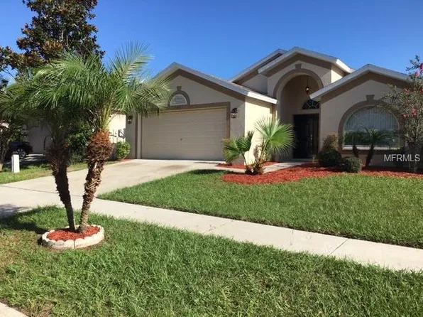 1333 Dragon Head Dr, Valrico, FL 33594