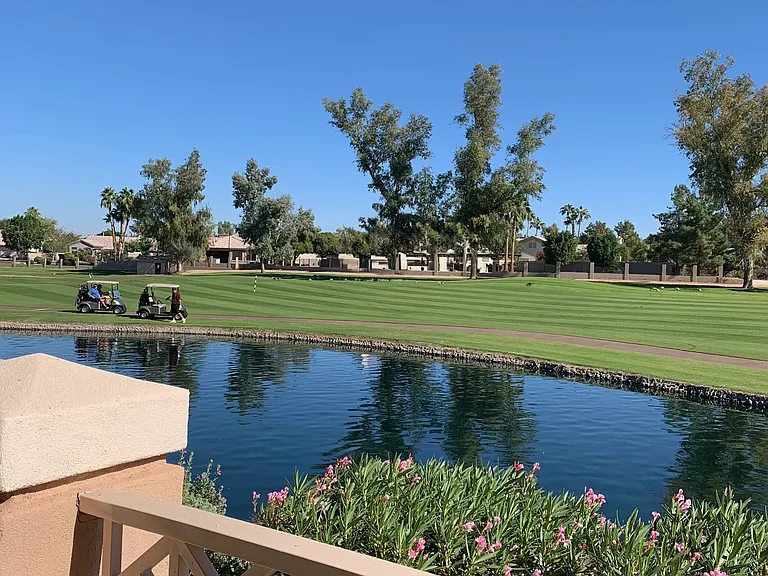 View from back patio