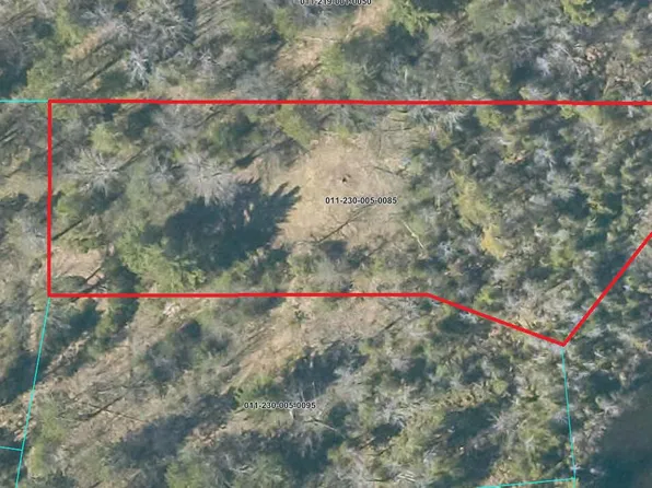 Snow Bowl Rd, Houghton Lake, MI 48629