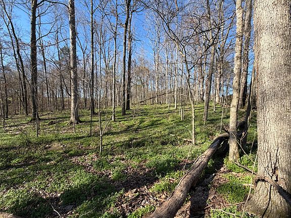 2nd image of 1 Samuel Dr