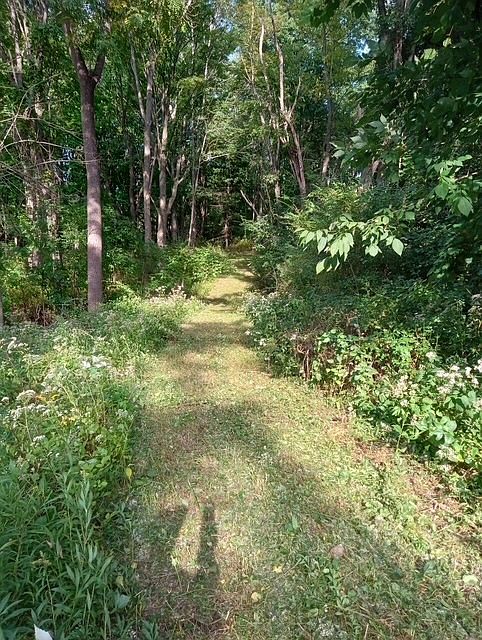 1st image of 0 Stone Quarry Rd
