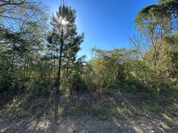 4.892 Willie Varnum Rd Lot 2, Cottonwood, AL 36320