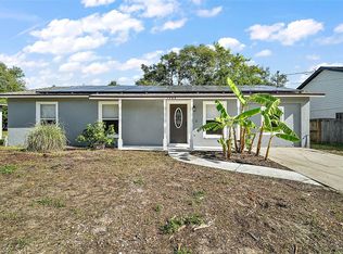 1380 Palm Dr, Mount Dora, FL 32757