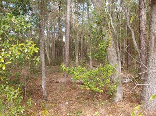 10036 N Lindon Dr, Citrus Springs, FL 34434