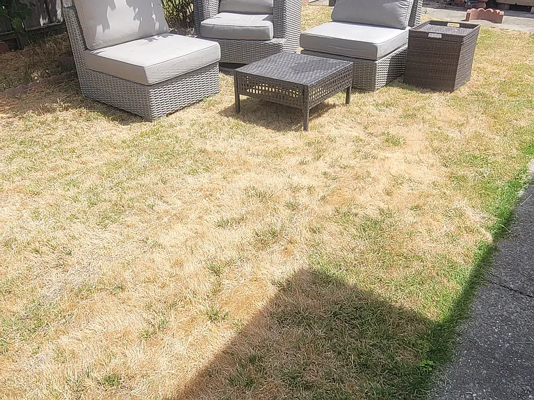 Shared yard.