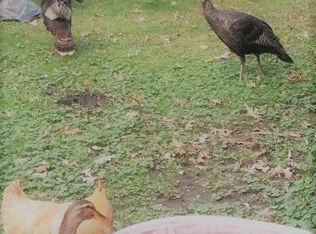 2433 Ford Rd, Minnetonka, MN 55305