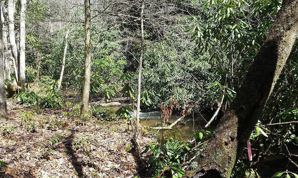 2nd image of 0 Mason Creek Ln #67
