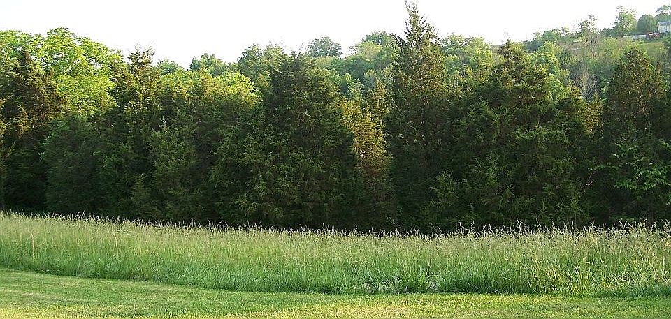 2nd image of 4001 Stringtown Rd