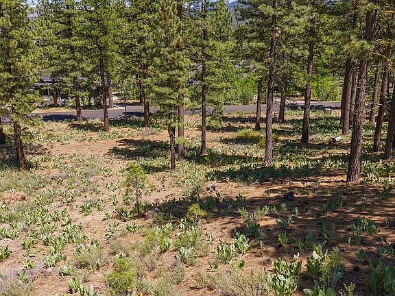 5th image of 7540 Lahontan Dr