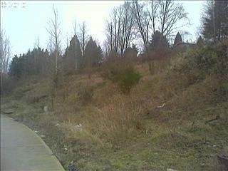 2nd image of 1616 Bowmont Ave