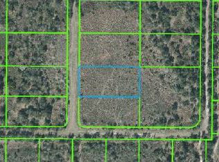 2235 Bear Bryant Rd, Avon Park, FL 33825