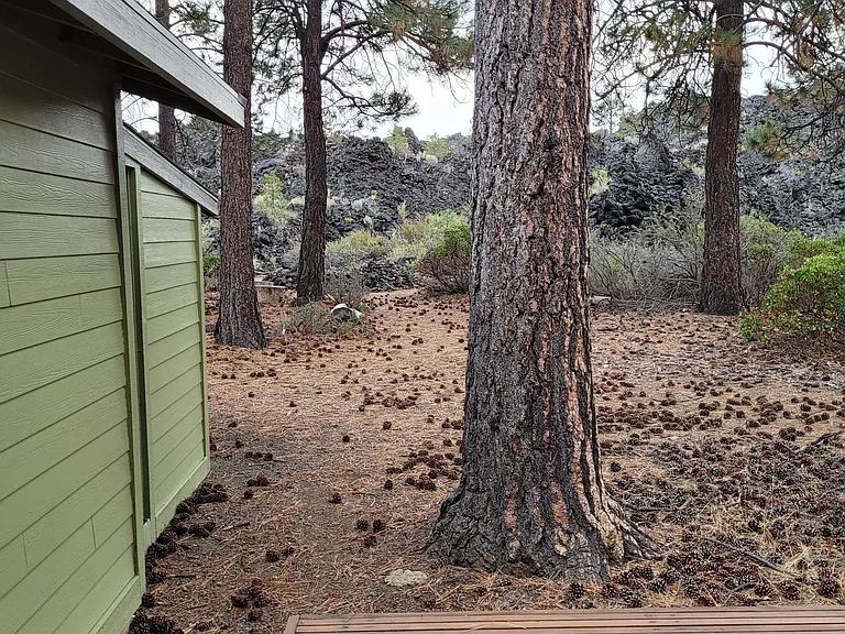 60227 Ochoco Cir — Photo 29